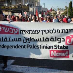 הפגנה, מחאה, שלטים, דגלים, דגל ישראל, נאום, נואם, במה, מיקרופון, קהל, אנשים, רחוב, מבנים, עצים, כיכר, צעדת מחאה, כרזות, פוליטיקה, אקטיביזם, התקהלות, פלסטין, פלסטינים, כיבוש, 1967, עימות