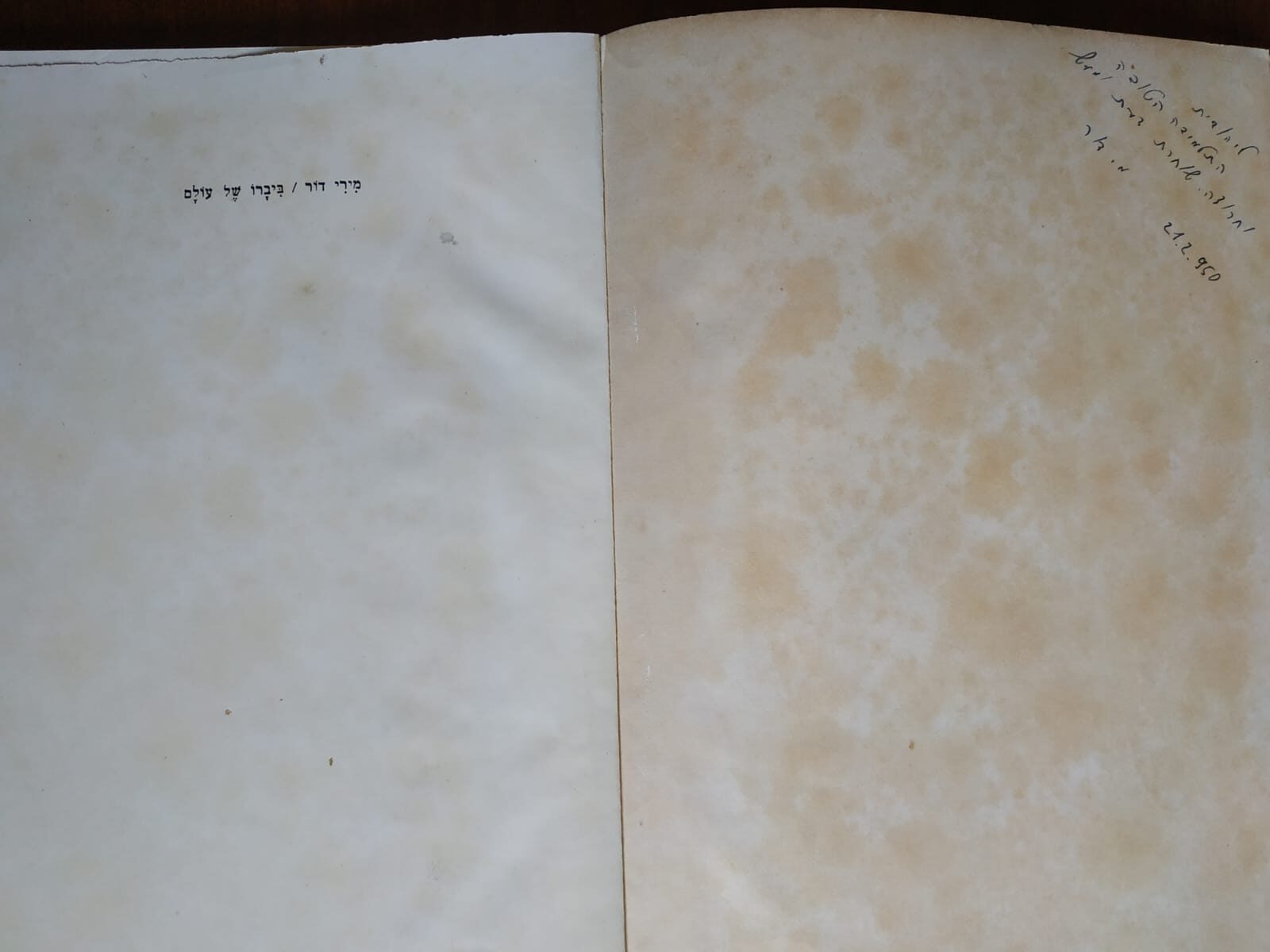 ההקדשה על הספר שקיבלתי מד"ר דור (צילום: יהודית יחזקאל- גלילי)