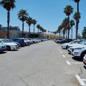 חניון, חנייה, מכוניות, כלי רכב, רכבים חונים, אספלט, סימון כביש, דקלים, עצי דקל, יום שמש, שמיים כחולים, תחבורה, תשתיות, נסיעה, עירוני, מגרש חנייה, חוף הכרמל, חניון, מכוניות, מכונית, מצוקת חנייה