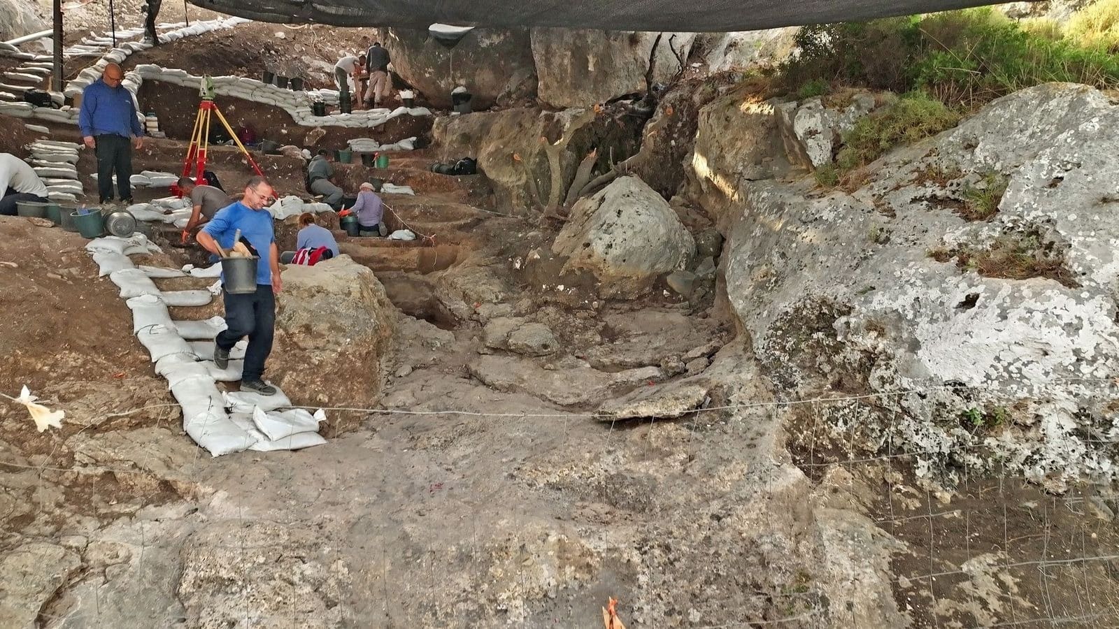 מערה פרהיסטורית בת 300 אלף שנה נחשפה בפוריידיס - חפירת רשות העתיקות ואוניברסיטת חיפה במערה הקדומה 11/6/26 (צילום: אמיל אלג׳ם, רשות העתיקות)