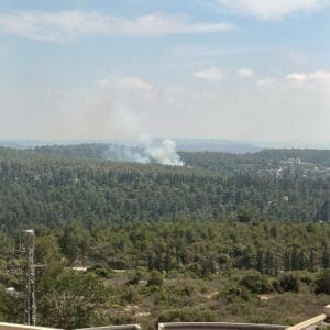 שריפת חורש מתפשטת בעין חוד – צוותי כיבוי פועלים במקום – דוברות כבאות והצלה לישראל | מחוז חוף 11/6/26 (צילום: כבאות והצלה לישראל)