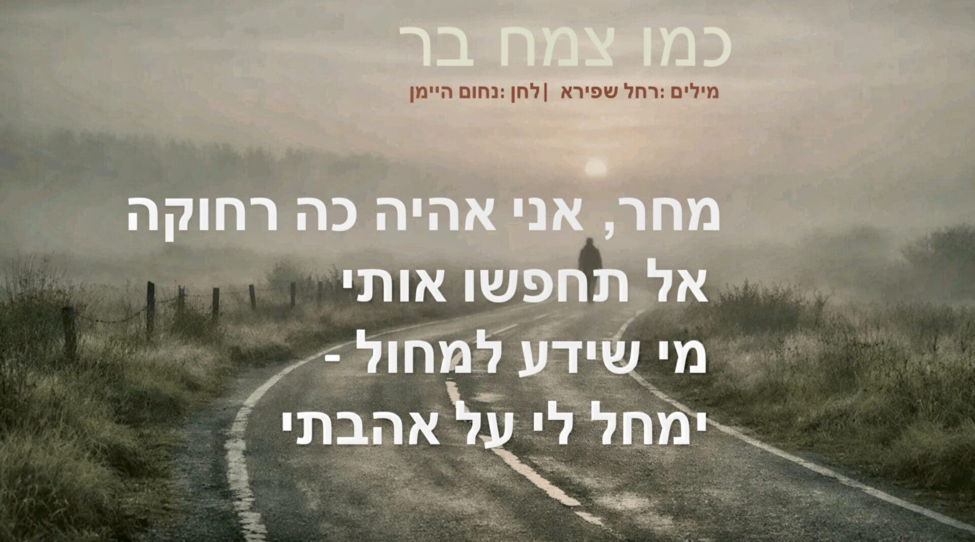 מתוך המופע "חזקה מהרוח" - שקופית שירה (צילום: אלבום פרטי, באדיבות מיכל גולן)
