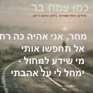 מתוך המופע "חזקה מהרוח" – שקופית שירה (צילום: אלבום פרטי, באדיבות מיכל גולן)