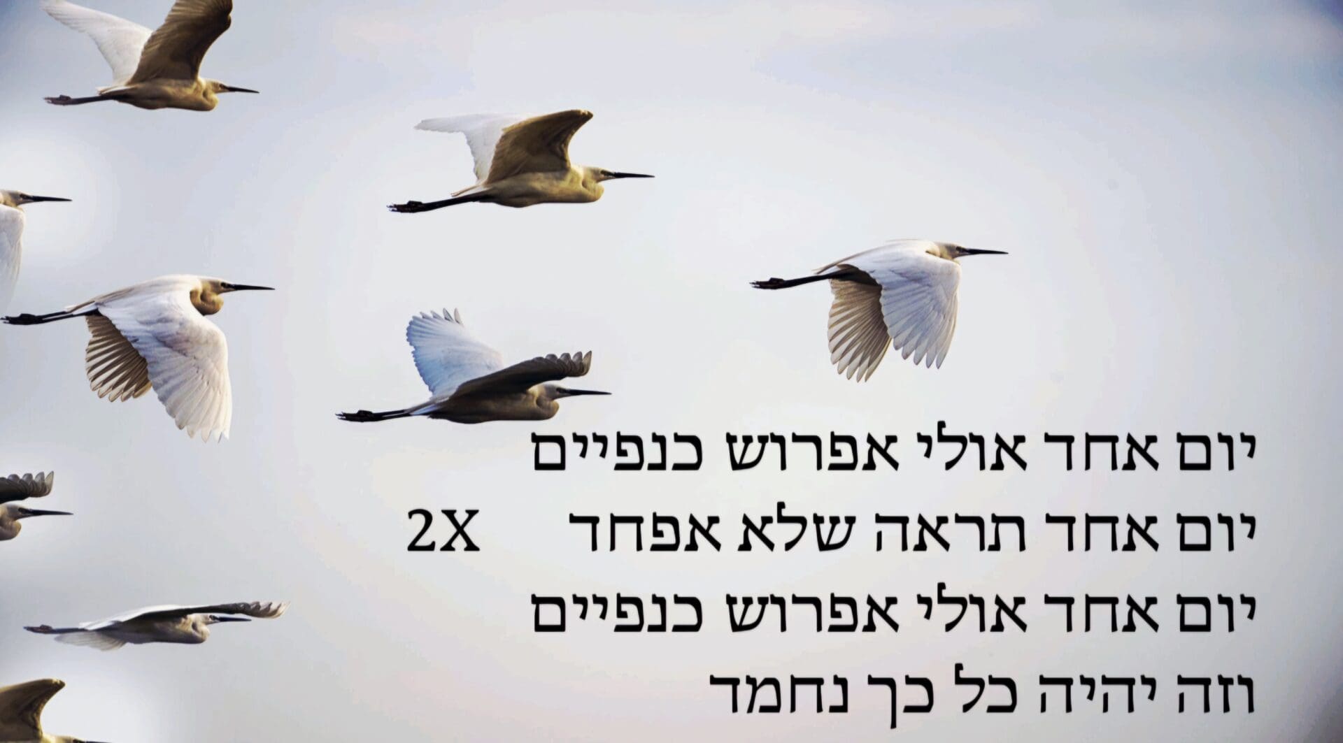 מתוך המופע "חזקה מהרוח" - "אולי אפרוש כנפיים", שקופית שירה (צילום: אלבום פרטי, באדיבות מיכל גולן)