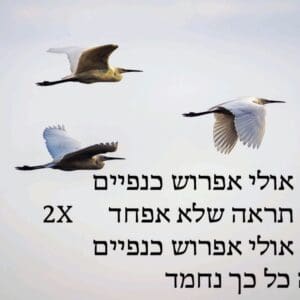 מתוך המופע "חזקה מהרוח" – "אולי אפרוש כנפיים", שקופית שירה (צילום: אלבום פרטי, באדיבות מיכל גולן)