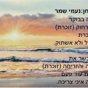 מתוך המופע "חזקה מהרוח" – "אור"- נעמי שמר – שקופית שירה (צילום: אלבום פרטי, באדיבות מיכל גולן)