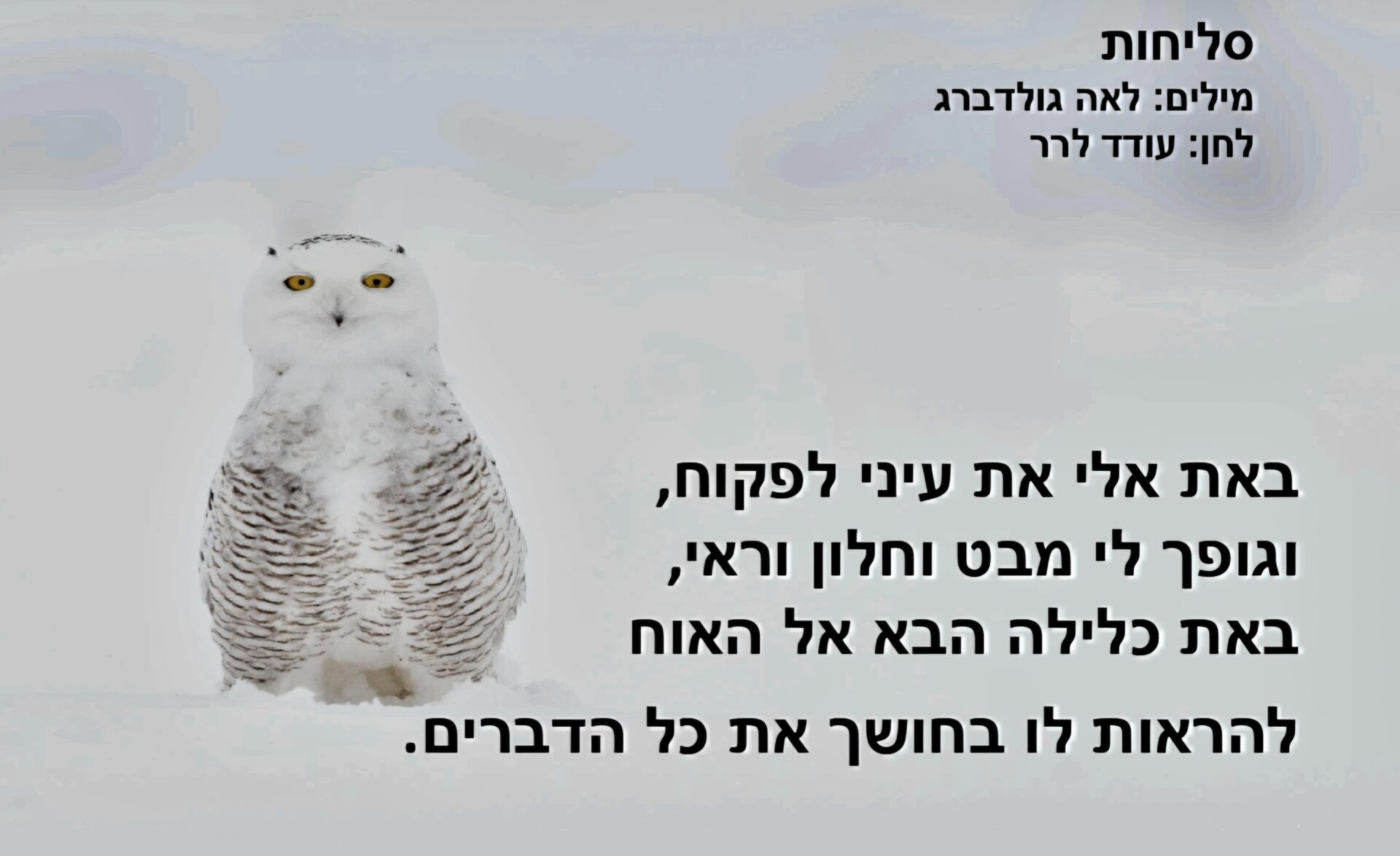 מתוך המופע "חזקה מהרוח" - "סליחות" - משירי לאה גולדברג - שקופית שירה (צילום: אלבום פרטי, באדיבות מיכל גולן)