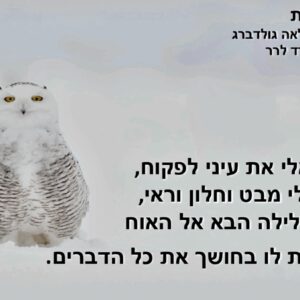 מתוך המופע "חזקה מהרוח" – "סליחות" – משירי לאה גולדברג – שקופית שירה (צילום: אלבום פרטי, באדיבות מיכל גולן)
