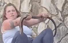 קמטן (צילום: זהר להט)