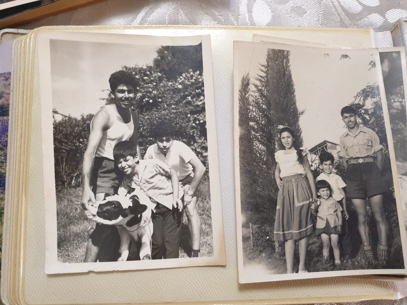 משפחת סימן טוב (אלבום משפחתי)