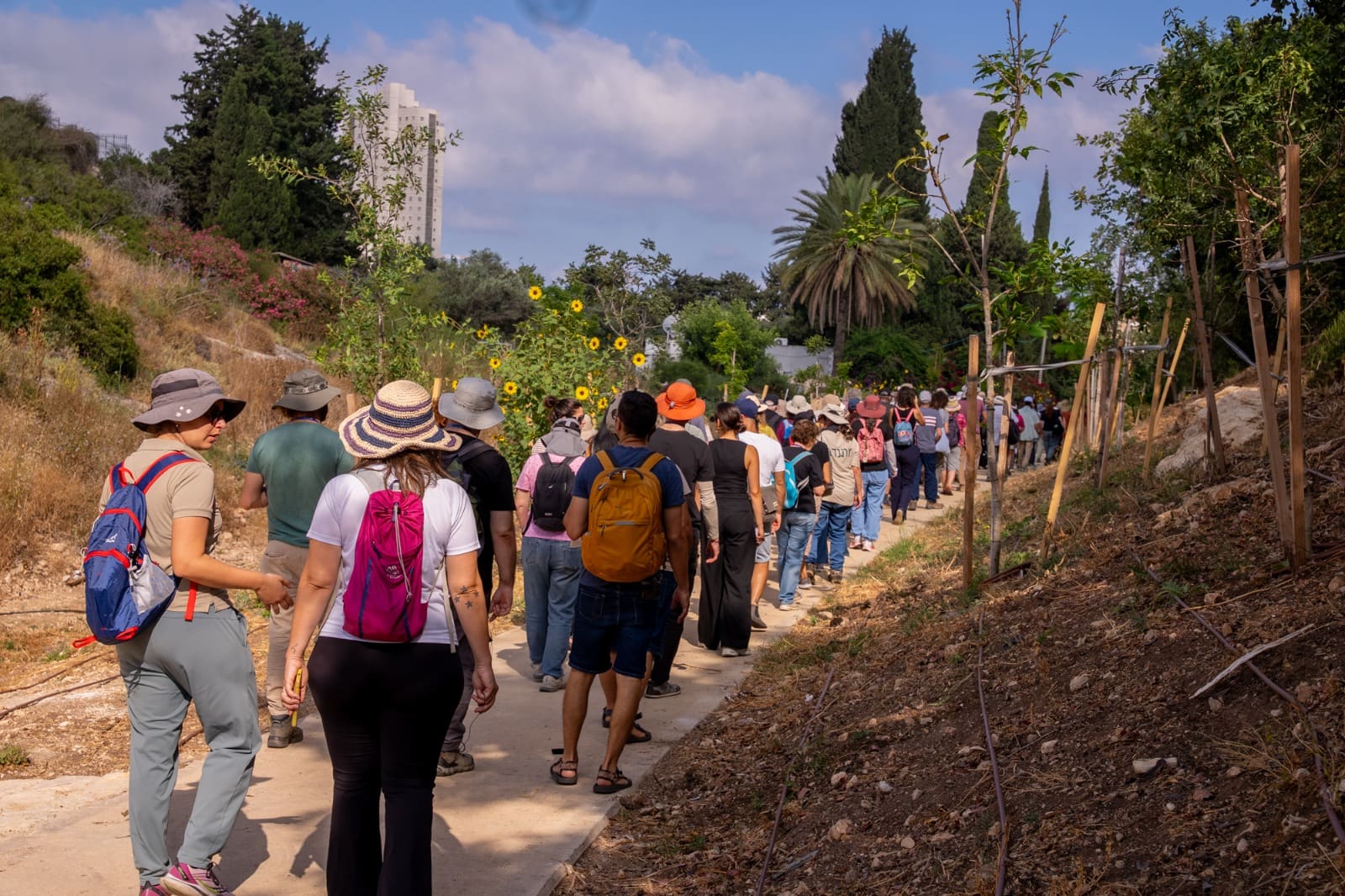 טירת כרמל אירחה את כנס הנחלים הארצי הראשון - דוברות עיריית טירת כרמל 18/6/26 (צילום: צופית דמרי, צוף צילום ועריכה)