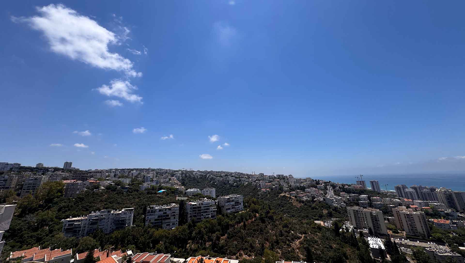 בוקר של סוף האביב - הכרמל המערבי נצלה בשמש בשעות הבוקר והצהריים (צילום: ירון כרמי)