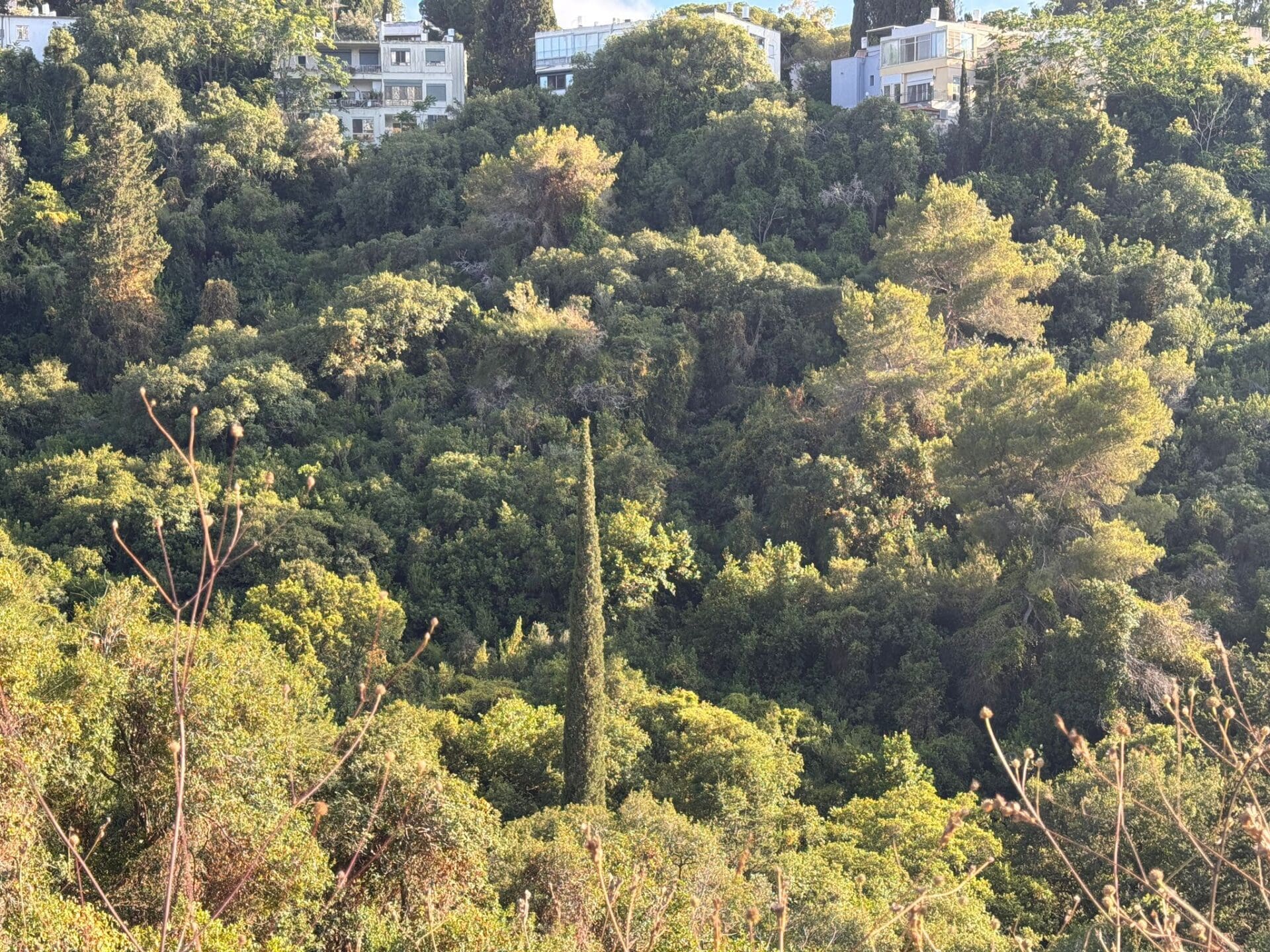 אירוע שיא של קבוצת לוטם בגן החיות בחיפה 20/6/26 (צילום: ירון כרמי)