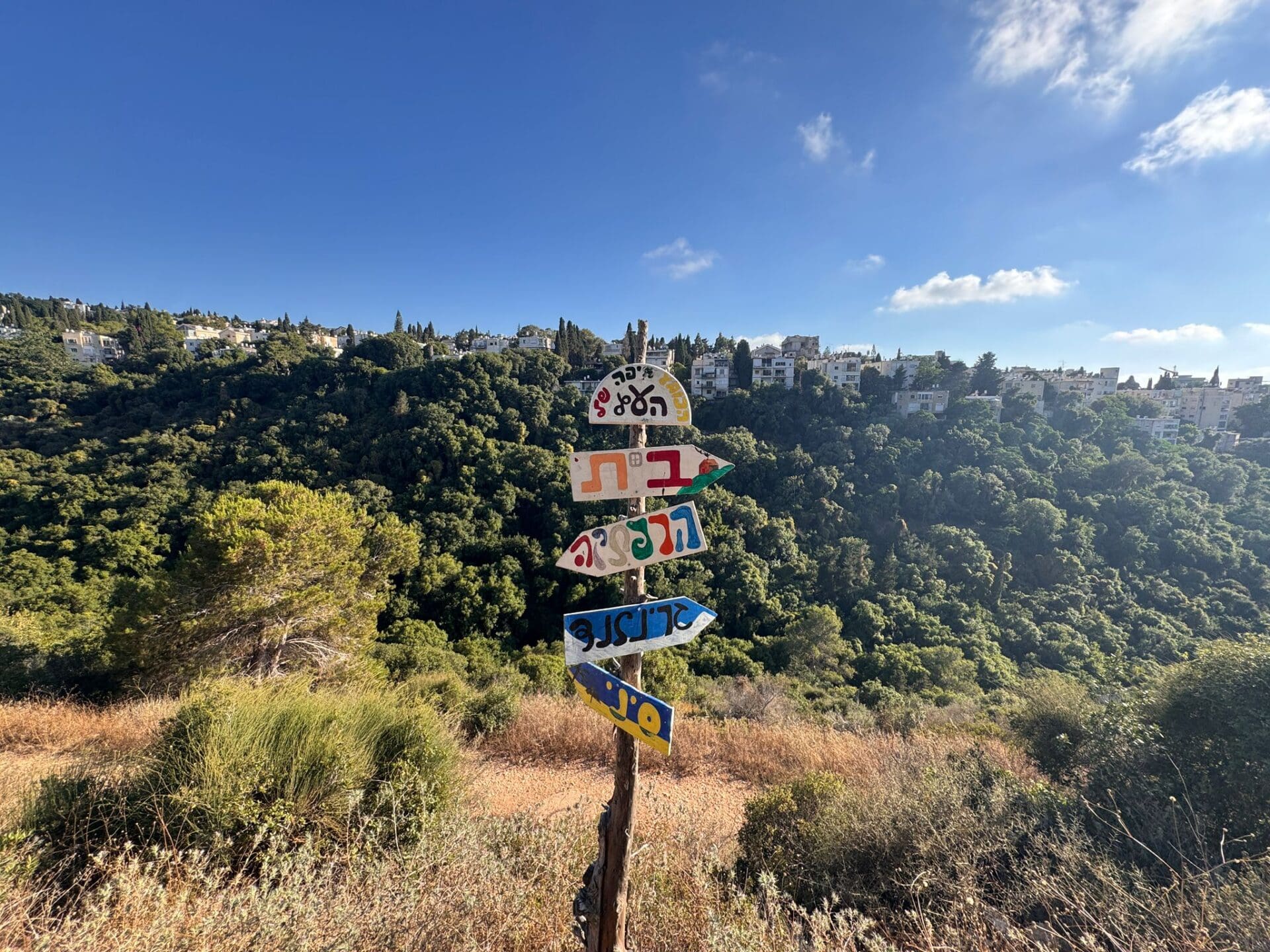אירוע שיא של קבוצת לוטם בגן החיות בחיפה 20/6/26 (צילום: ירון כרמי)