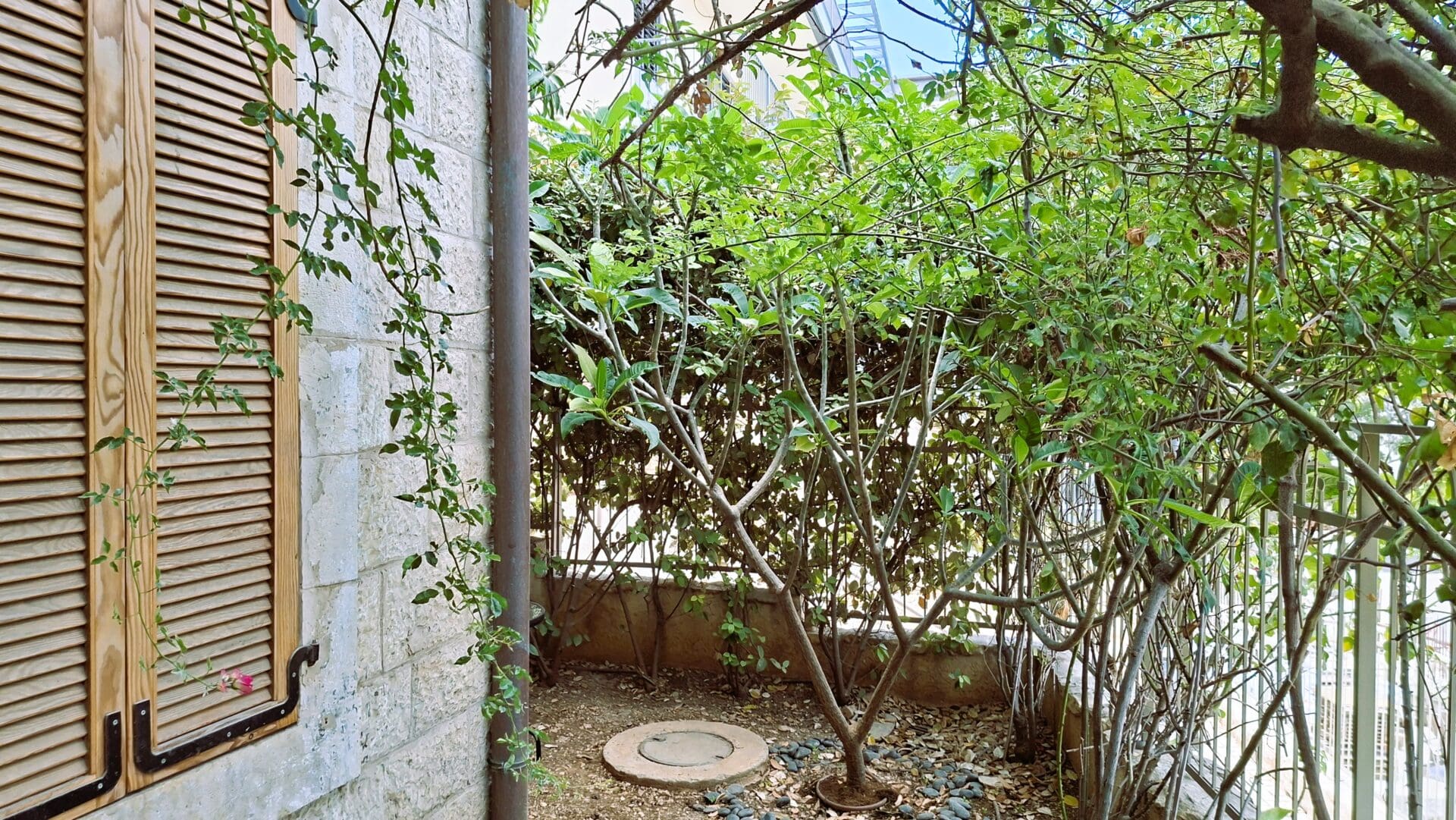 בבית אלדד בק - מבט אל גינת הבית (צילום: רחלי אורבך)