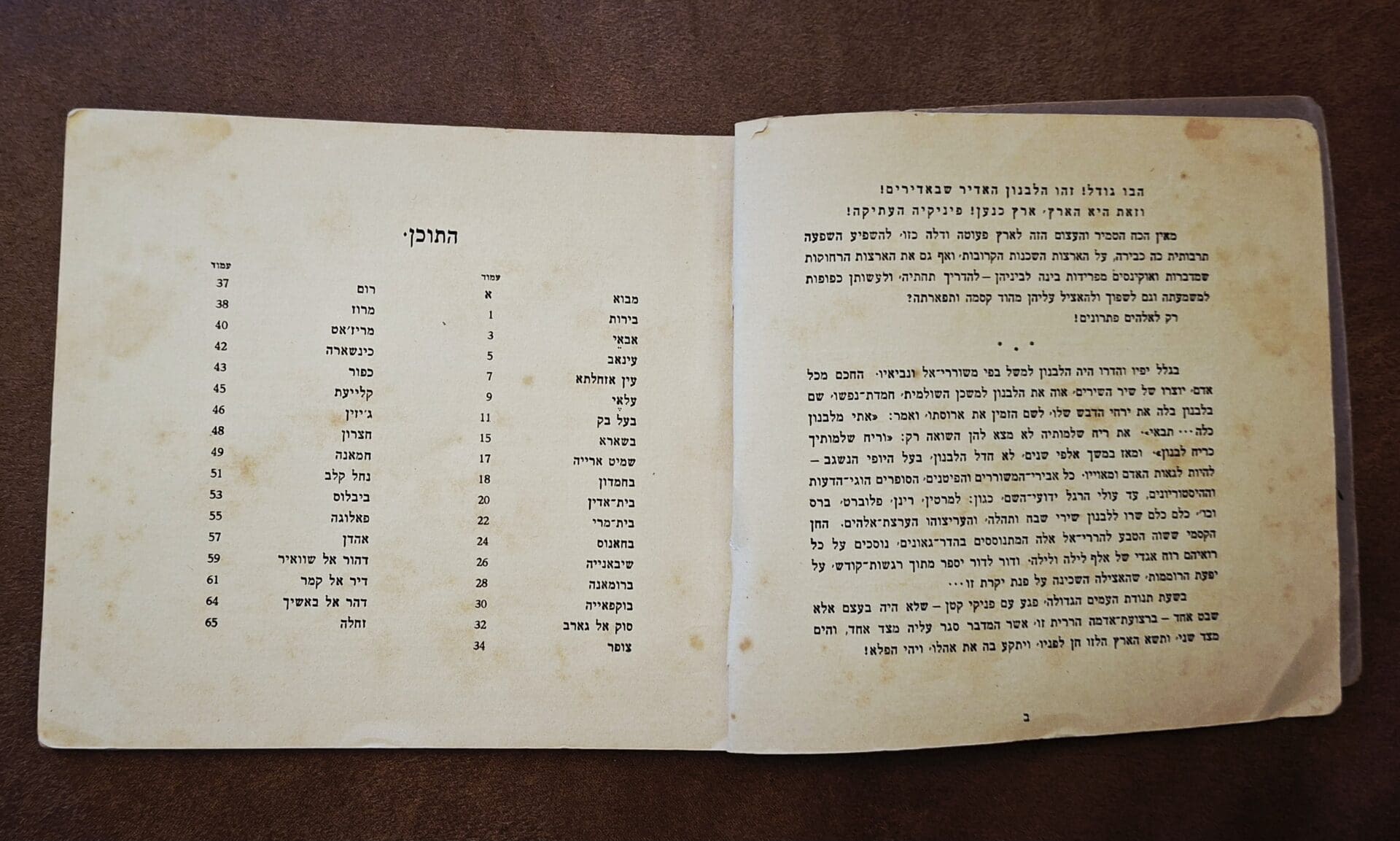 בבית אלדד בק - נפלאות הלבנון כפי שהן מתוארות ע"י אנשיה (צילום: רחלי אורבך)