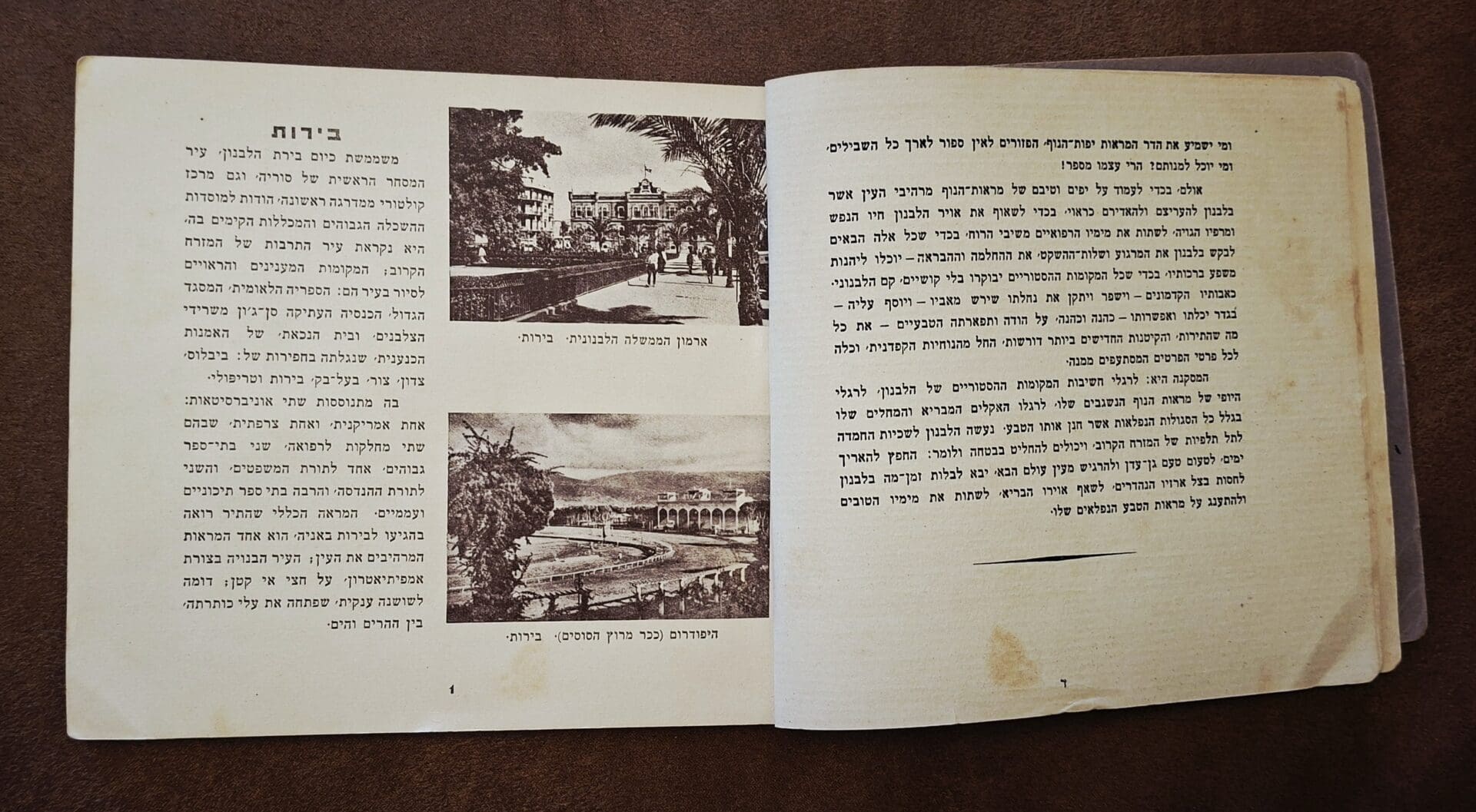 בבית אלדד בק - מדריך למסע אל הארץ שמעבר לאופק (צילום: רחלי אורבך)