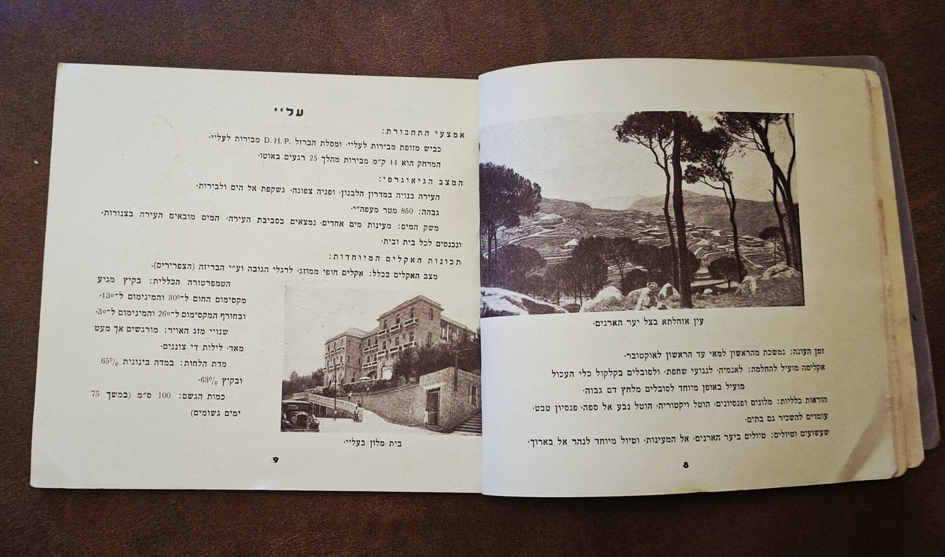 בבית אלדד בק - סיפרון תיירות ללבנון, שנכתב עבור תיירים יודעי עברית (צילום: רחלי אורבך)