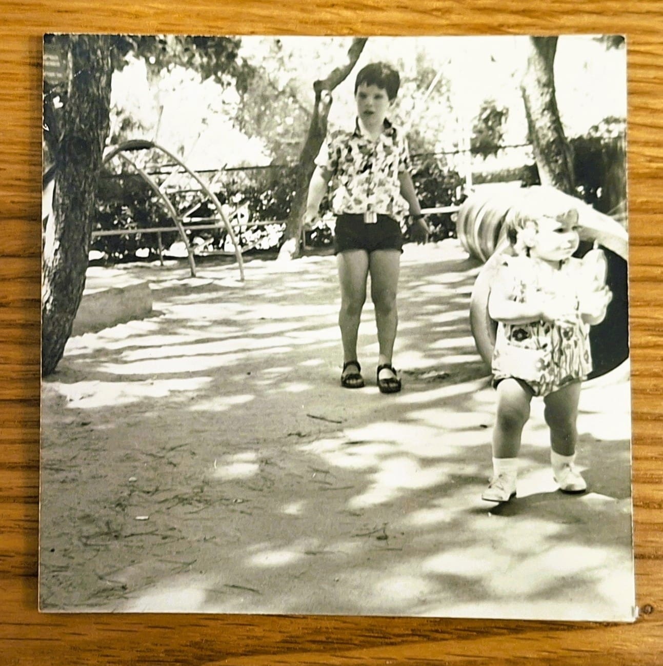 אלדד בק - כילד צעיר, עם אחותו ב"גן שמואל" (צילום: אלבום פרטי, משפ' בק)