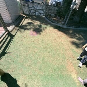 הורים בנווה יוסף זועמים: ״הקייטנה הועברה למבנה נטוש ומסוכן״ 1/7/26