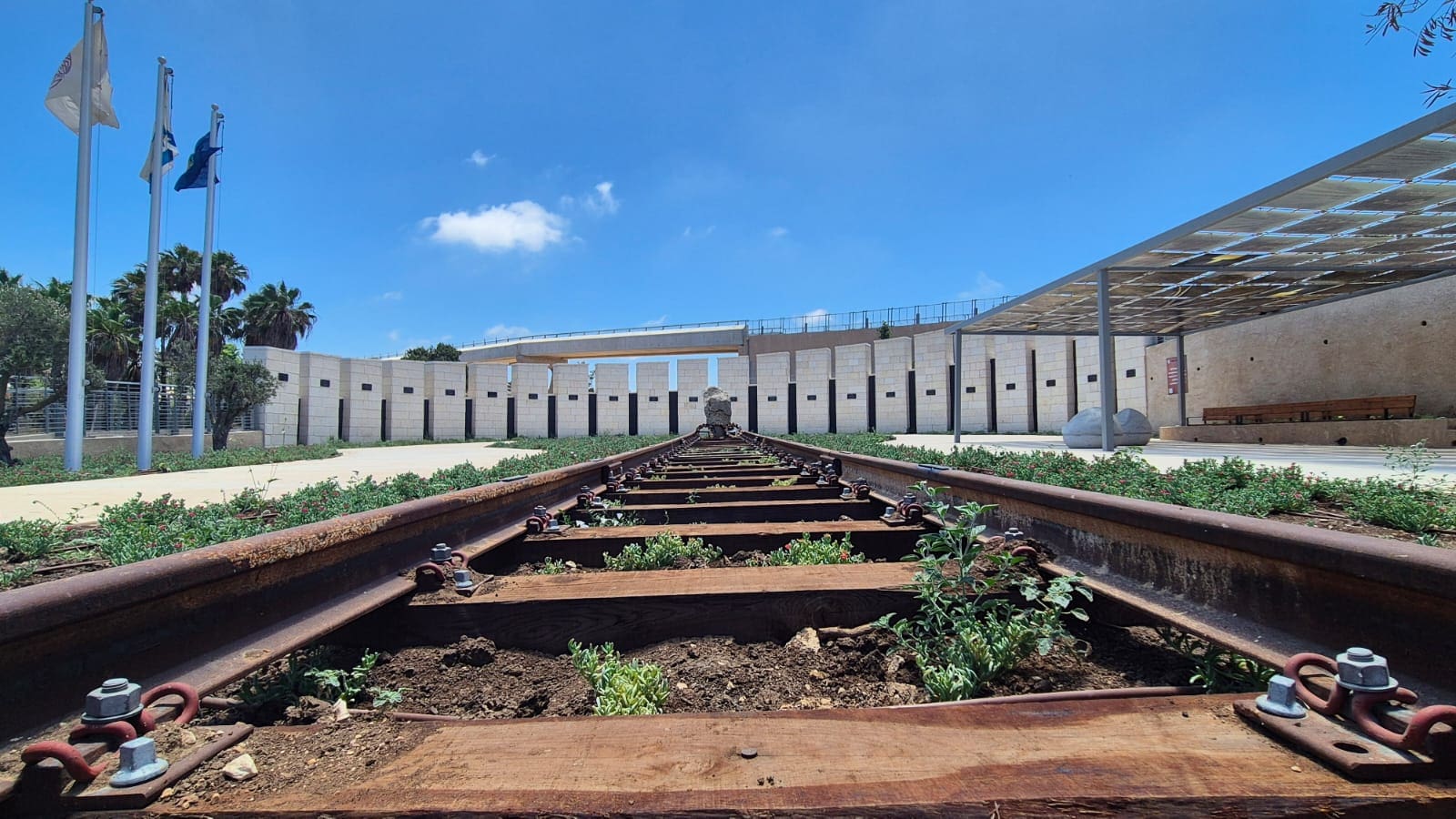 נחנך גשר הולכי הרגל החדש בהבונים בהשקעה של כ-15 מיליון ש״ח (צילום: חוף הכרמל)
