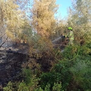 שריפת יער מתפשטת מעין חוד לכיוון דלית אל-כרמל שריפת יער מתפשטת באזור רמות מנשה לכיוון דלית אל-כרמל - דוברות כבאות והצלה לישראל | מחוז חוף 6/7/26 (צילום: כבאות והצלה לישראל)