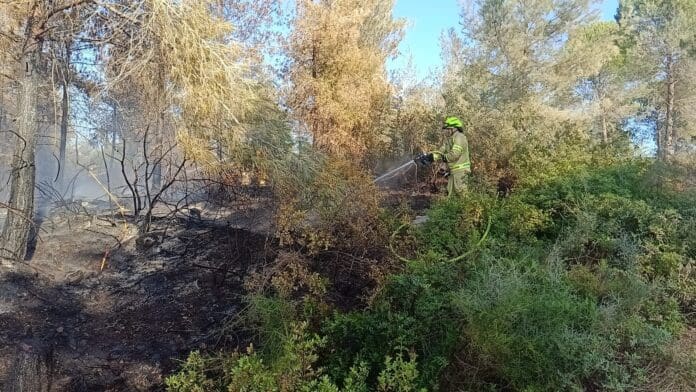 שריפת יער מתפשטת באזור רמות מנשה לכיוון דלית אל-כרמל - דוברות כבאות והצלה לישראל | מחוז חוף 6/7/26 (צילום: כבאות והצלה לישראל)