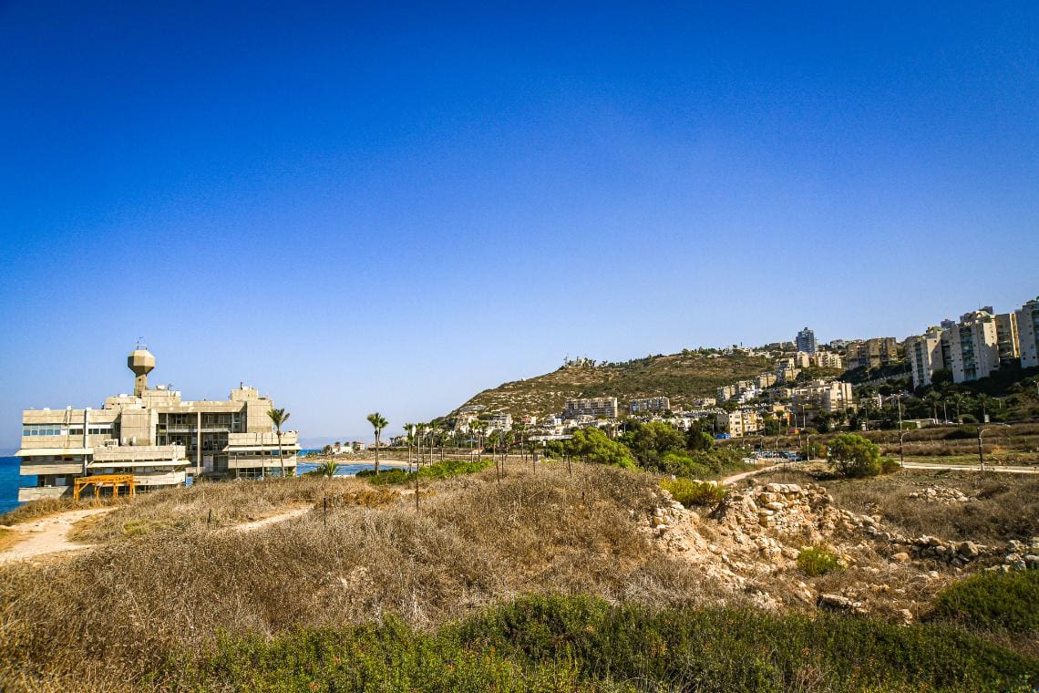 תל שקמונה (צילום: עמותת תיירות חיפה)
