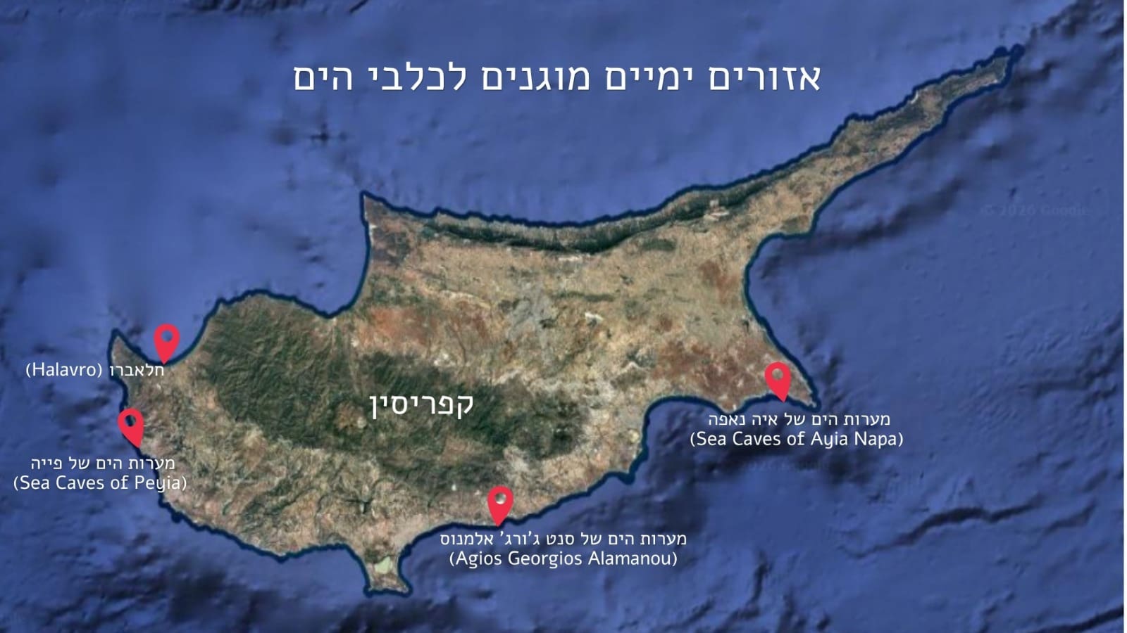 ישראל וקפריסין משתפות פעולה להשבת כלבי הים הנזיריים לחופי הארץ 8/7/26 (צילום: Cyprus Monk Seal Monitoring Team)