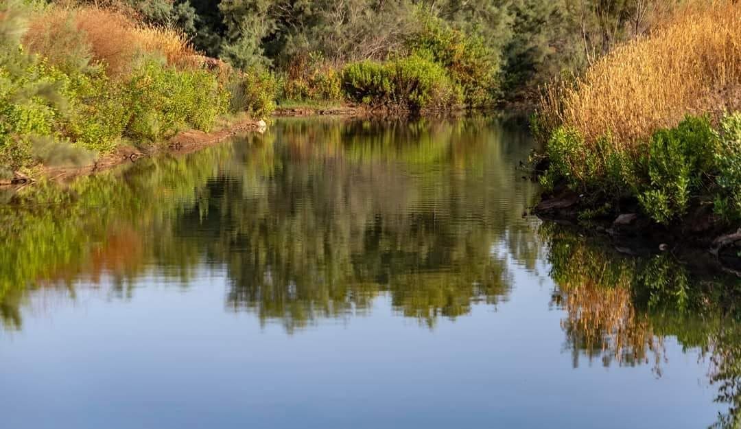נחל סעדיה (צילום: אבי אלבאום)
