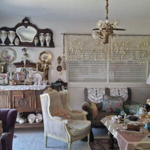יונה מזור – בסלון מעונו (צילום: רחלי אורבך)