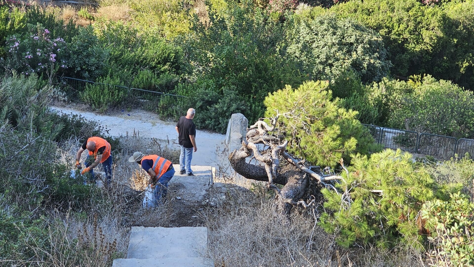 אביהו האן יחד עם נציגי תאגיד מי כרמל בוואדי שיח (צילום: אביהו האן)