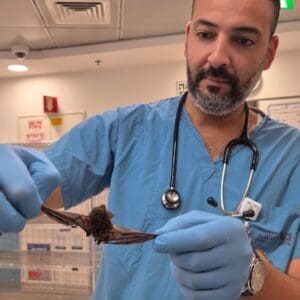 בן 15 הגיע למיון רמב״ם לאחר מגע עם עטלף שחדר למזגן בביתו 19/7/26 (צילום: הקריה הרפואית רמב״ם)