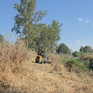 רשות נחל הקישון פתחה במבצע שיקום: מאבק נרחב בצמחים פולשים על גדות הנחל 21/7/26 (צילום: רשות נחל הקישון)