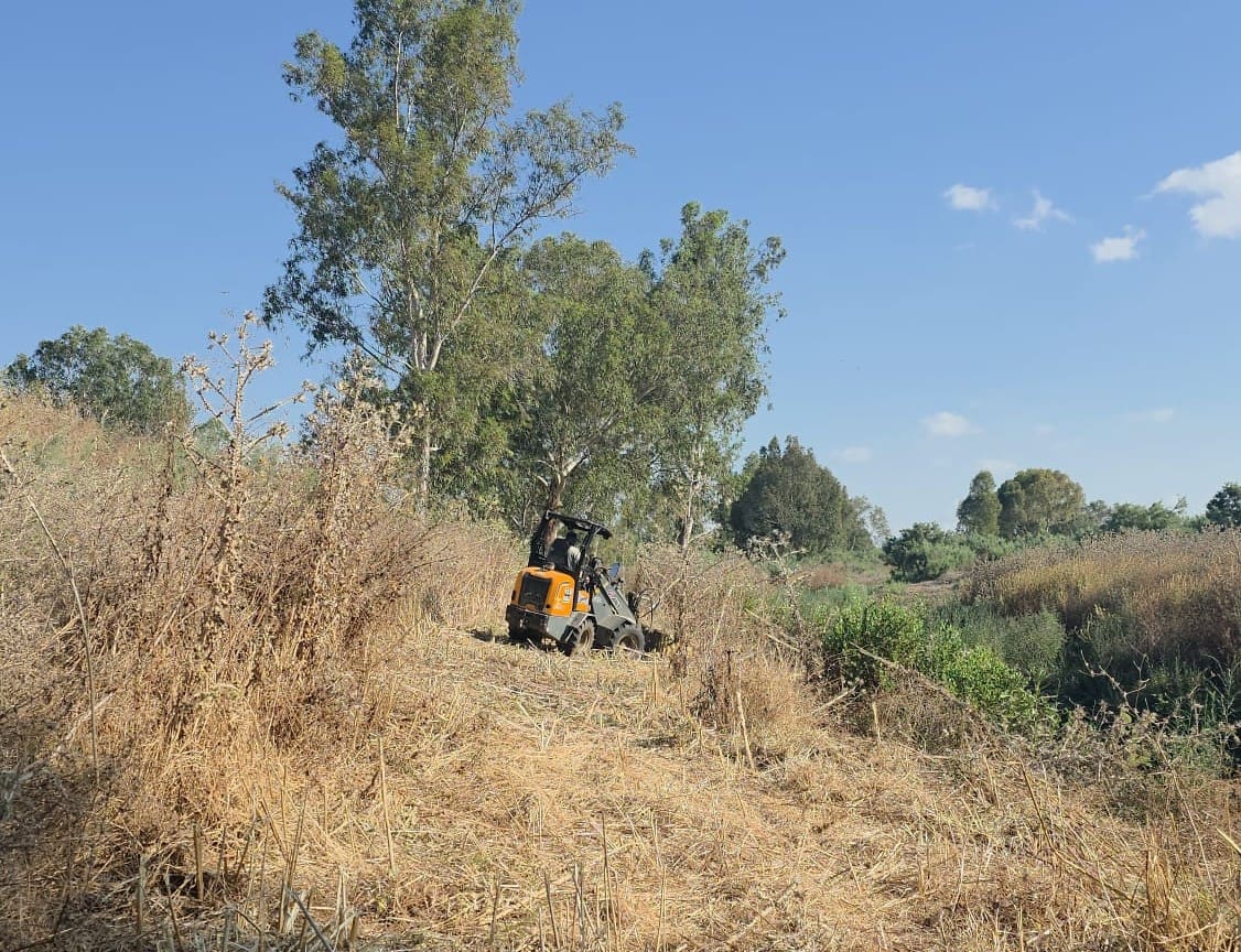 רשות נחל הקישון פתחה במבצע שיקום: מאבק נרחב בצמחים פולשים על גדות הנחל 21/7/26 (צילום: רשות נחל הקישון)