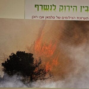בתערוכת סלמאן אבו רוכן – "בין הירוק לנשרף" – משכן העמותה לתולדות חיפה (צילום: רחלי אורבך)