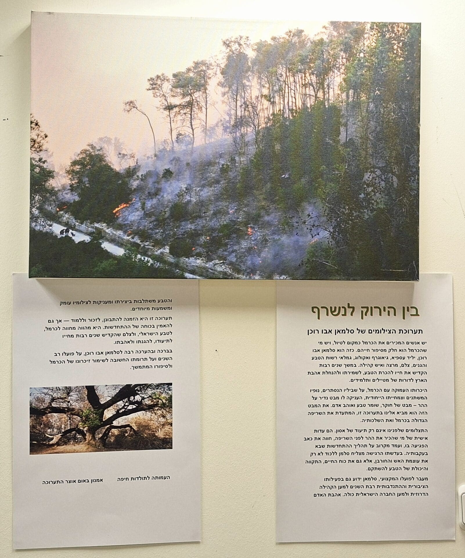 בתערוכת סלמאן אבו רוכן -"בין הירוק לנשרף" - דברי הסבר - משכן העמותה לתולדות חיפה (צילום: רחלי אורבך)