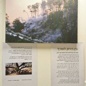 בתערוכת סלמאן אבו רוכן -"בין הירוק לנשרף" – דברי הסבר – משכן העמותה לתולדות חיפה (צילום: רחלי אורבך)