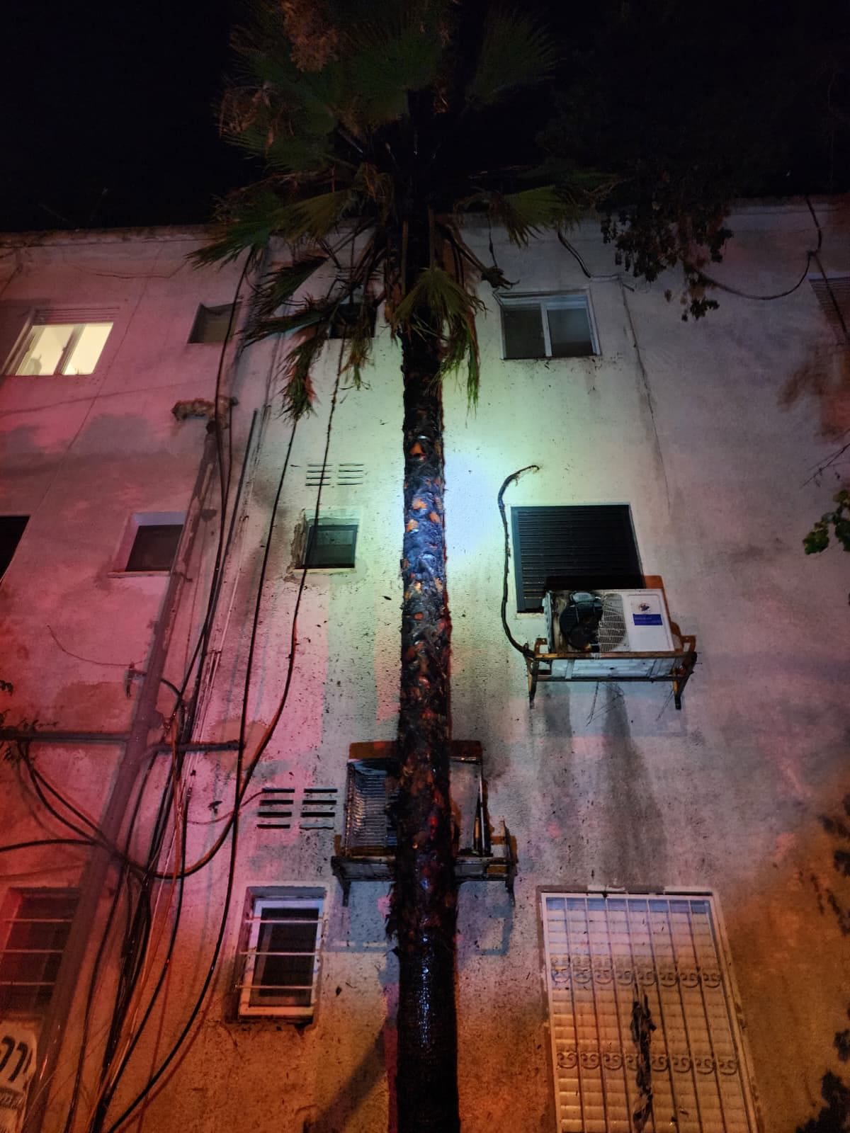 שריפת עץ דקל ברחוב הגליל בחיפה כמעט גרמה לשריפת מבנה מגורים - דוברות כבאות והצלה לישראל | מחוז חוף 23/7/26 (צילום: כבאות והצלה לישראל)