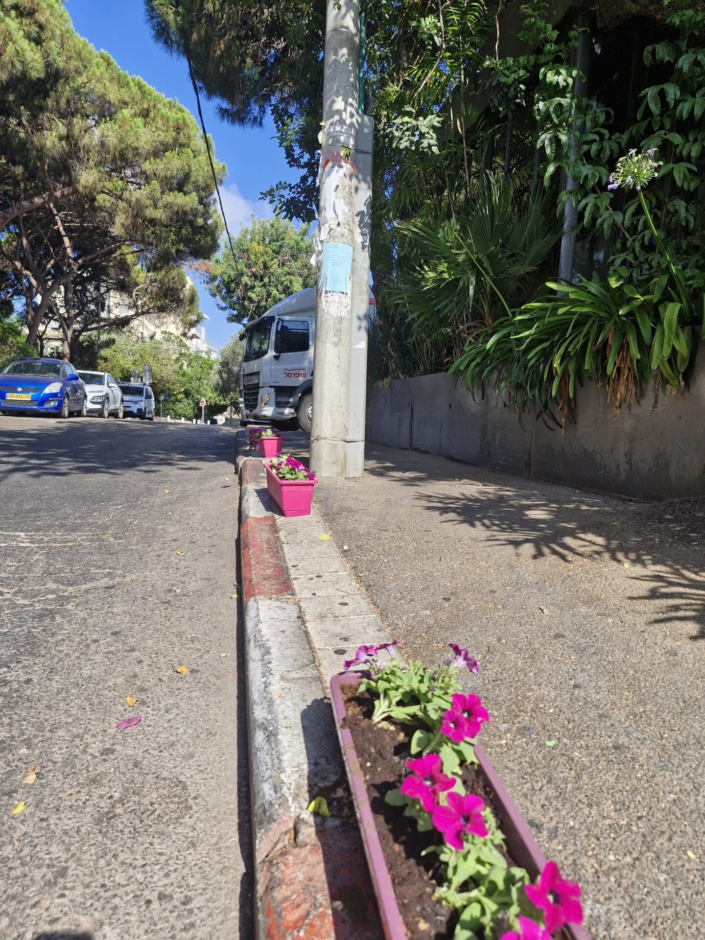 פעילי ״רוב העיר״ הציבו אדניות פרחים ברחוב פינסקי למניעת חניה על המדרכה 29/7/26