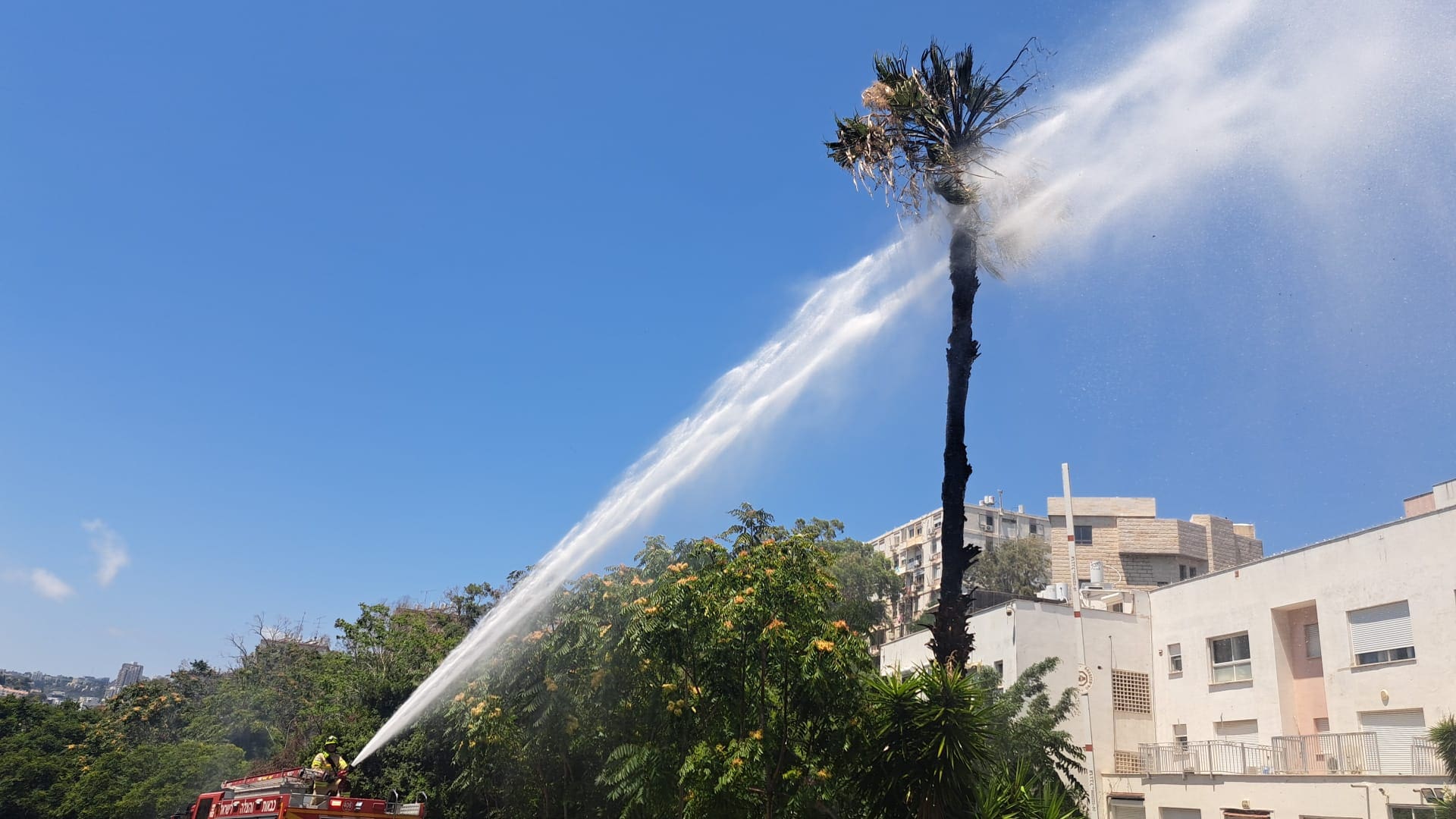 שריפת חורש סמוך למבנה מגורים בחיפה כובתה במלואה - דוברות כבאות והצלה לישראל | מחוז חוף 31/7/26 (צילום: כבאות והצלה לישראל)
