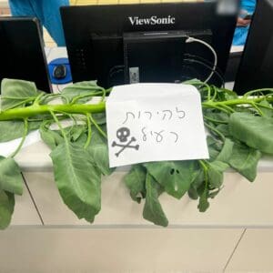 הרעלה חריפה לאחר הכנת מרק מצמח בר רעיל הצמח שהובא לרמב"ם יחד עם המטופלים (צילום: הקריה הרפואית רמב"ם)