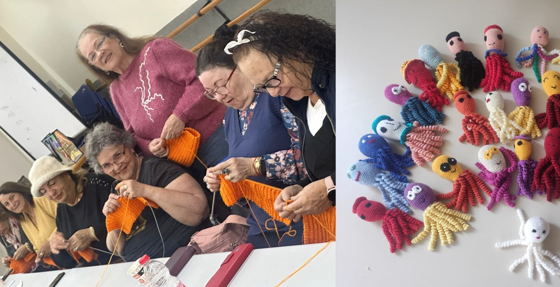 חנה והסורגות שבאות לטוב, בנשר. סורגות ומאריכות חיים (צילום: תמר (תמי) גולדשטיין)