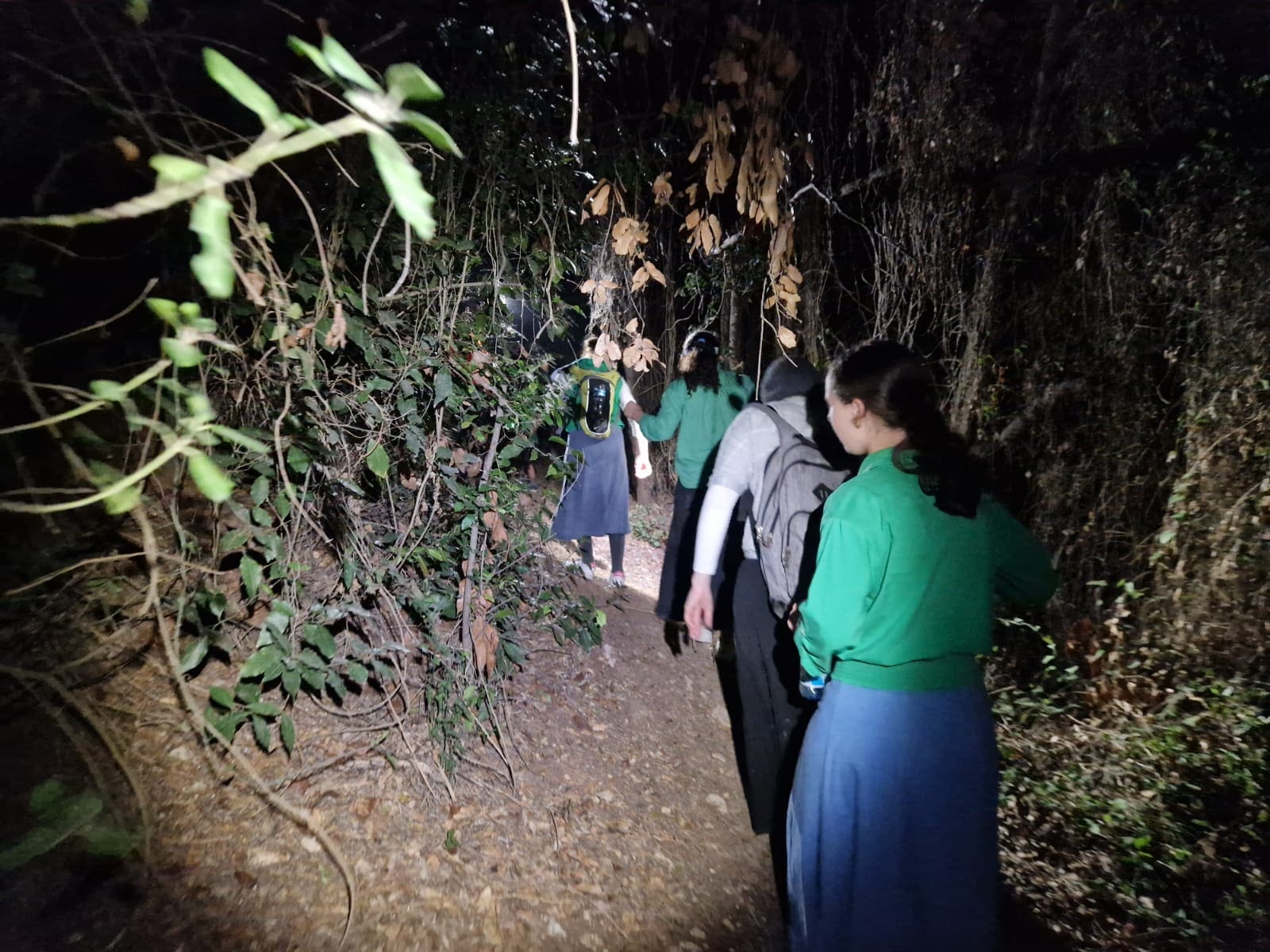 משפחה עם שבעה ילדים חולצה לאחר שאיבדה את דרכה בנחל לוטם - תמונות מהחילוץ 6/8/26 (צילום: יחידת החילוץ גליל-כרמל)