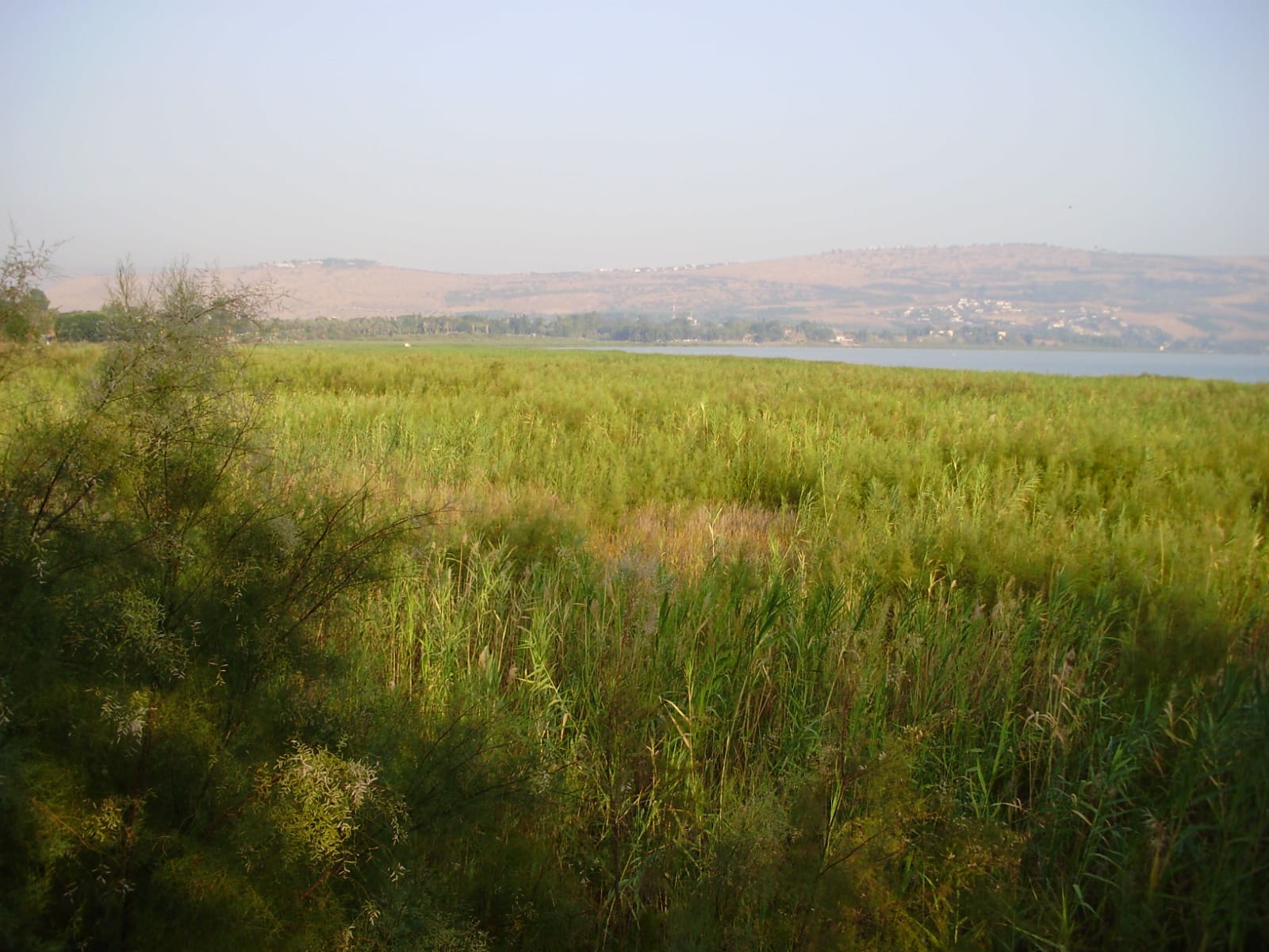 פעם היה פה ים (צילום: מוטי מנדלסון)