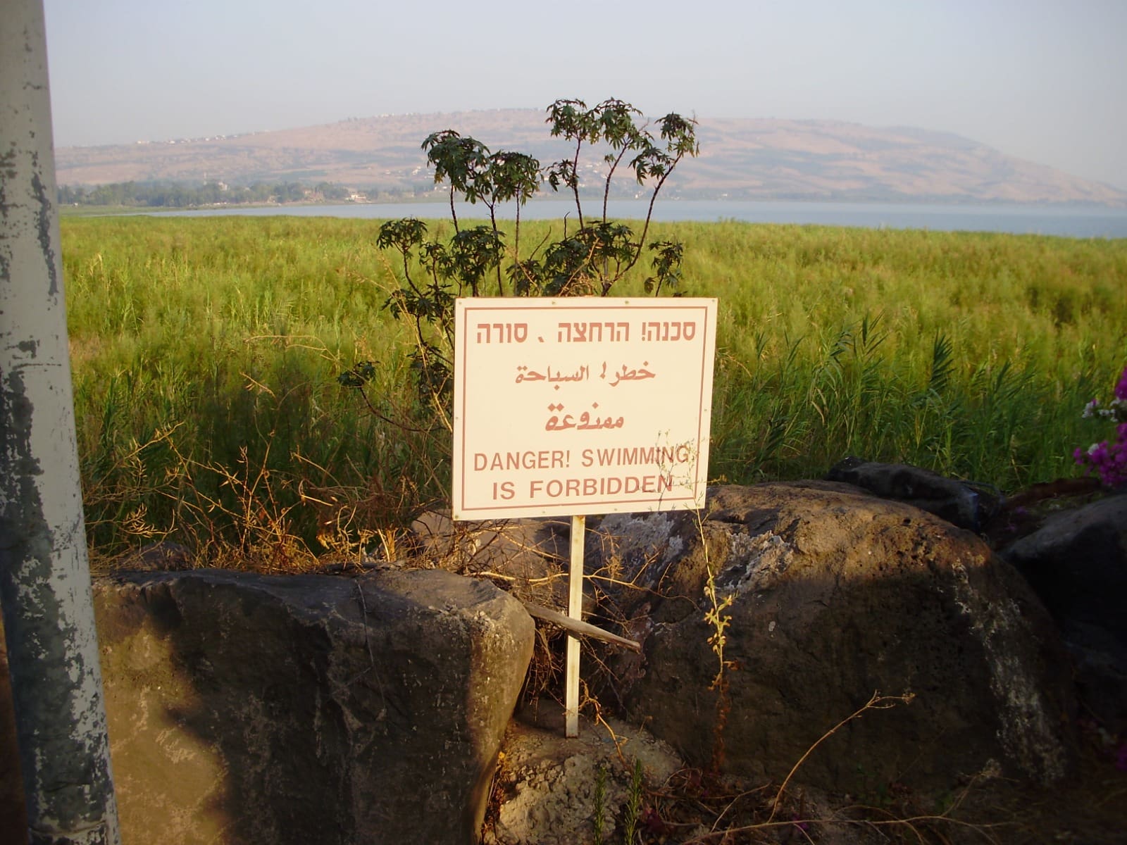 שלט אזהרת שחיה (צילום: מוטי מנדלסון)