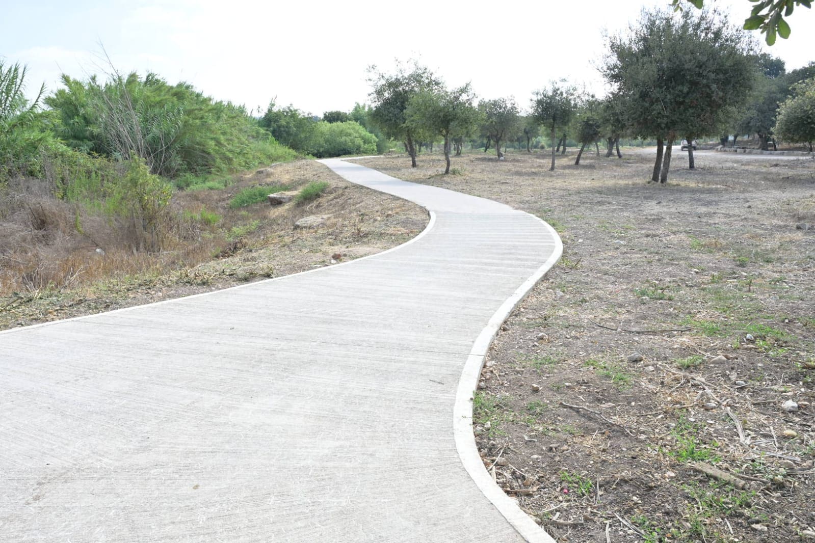 קק״ל חנכה את שביל נחל ציפורי הנגיש בעמק יזרעאל 9/8/26 (צילום: מיכאל חורי)