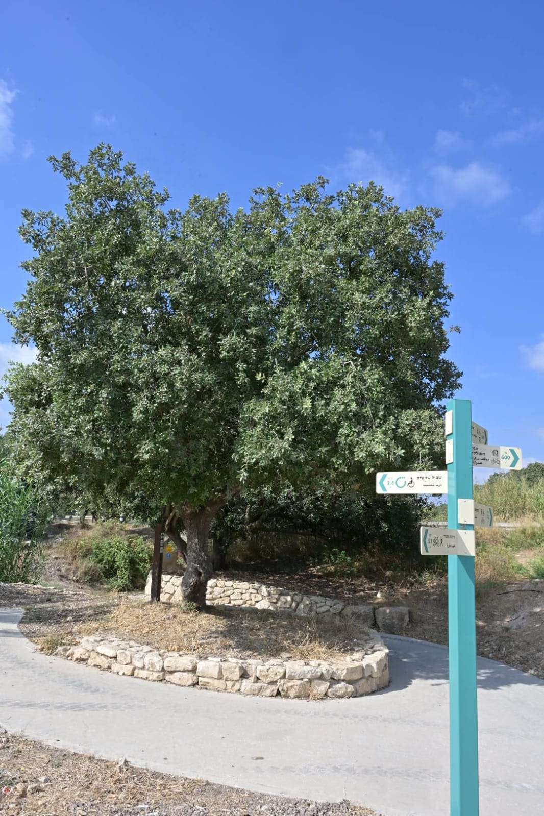 קק״ל חנכה את שביל נחל ציפורי הנגיש בעמק יזרעאל 9/8/26 (צילום: מיכאל חורי)