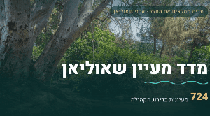 ״מדד מעיין שאוליאן״ – המאגר שיעשה לכם סדר במעיינות הכי שווים בארץ מדד מעיין שאוליאן (צילום: איתי שאוליאן)