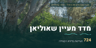 מדד מעיין שאוליאן (צילום: איתי שאוליאן)